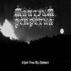 Echoes from My Shadows